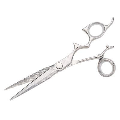 silver shear with clear ring guards